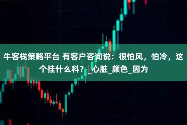 牛客栈策略平台 有客户咨询说：很怕风，怕冷，这个挂什么科？_心脏_颜色_因为